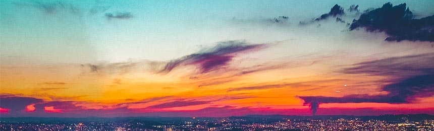 永新茶虫网_永新品茶